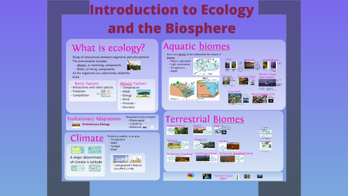 Introduction to Ecology bio111 by madelyn rios on Prezi
