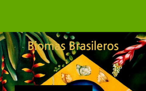 Biomas do Brasil by Laura Bariani on Prezi