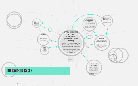 THE CARBON CYCLE by prerna das on Prezi