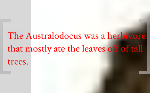Australodocus Fossil Prezi by Forrest Dills on Prezi