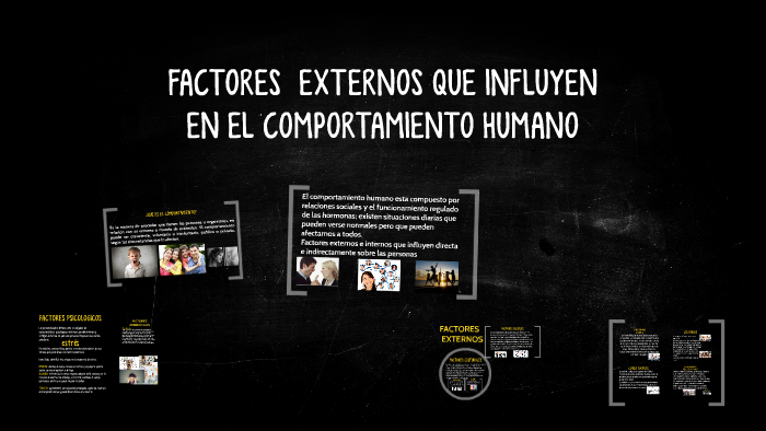 FACTORES INTERNOS Y EXTERNOS QUE INFLUYEN By Michel Dehorta On Prezi