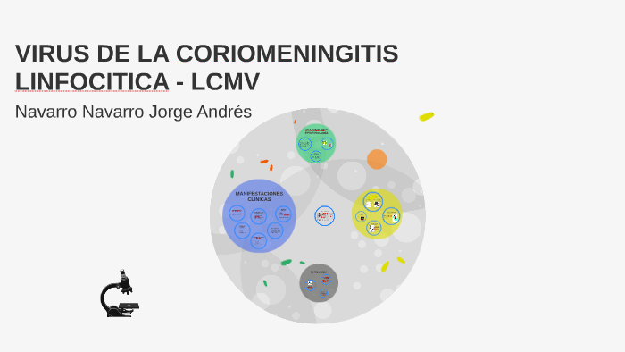 VIRUS DE LA CORIOMENINGITIS LINFOCITICA by Joanen Navarro on Prezi