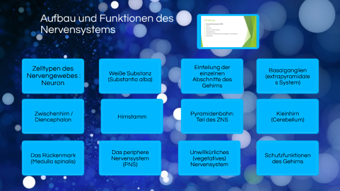 Aufbau Und Funktionen Des Nervensystems By Katja Große-Kracht