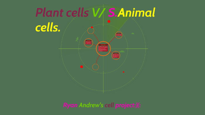 Ryan Andrew's cell project by Ryan Andrew on Prezi