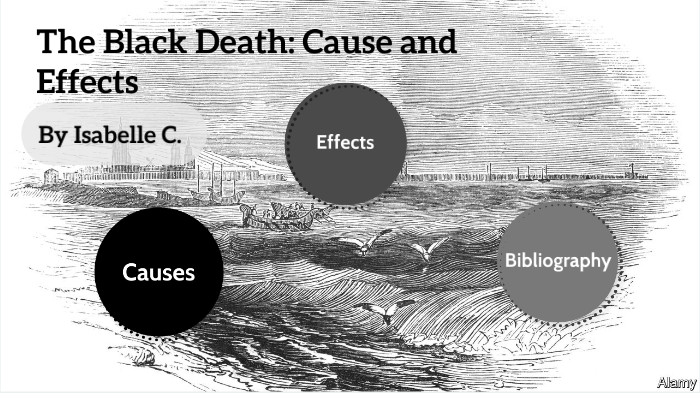 black death cause and effect essay