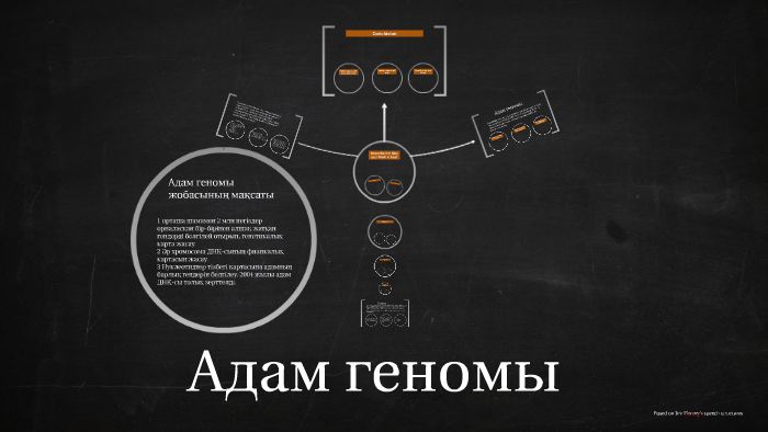 Адам геномы жобасы презентация