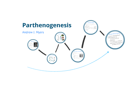  Parthenogenesis  Presentation by andrew myers on Prezi Next