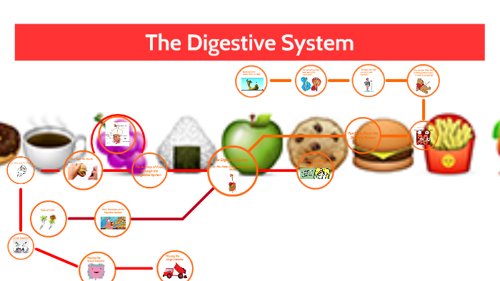The Digestive System by on Prezi