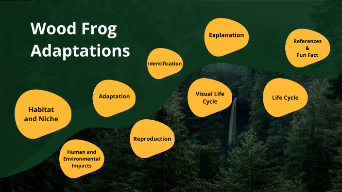 Wood Frog Adaptations By Mia De Bruyn On Prezi