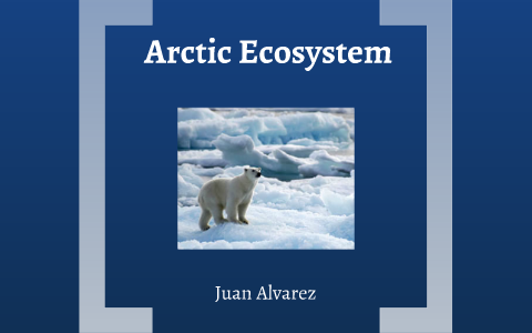 Arctic Ecosystem by Juan Alvarez on Prezi