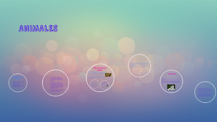 Derechos de los Animales by Laura Sofia Alvarez Oñate on Prezi