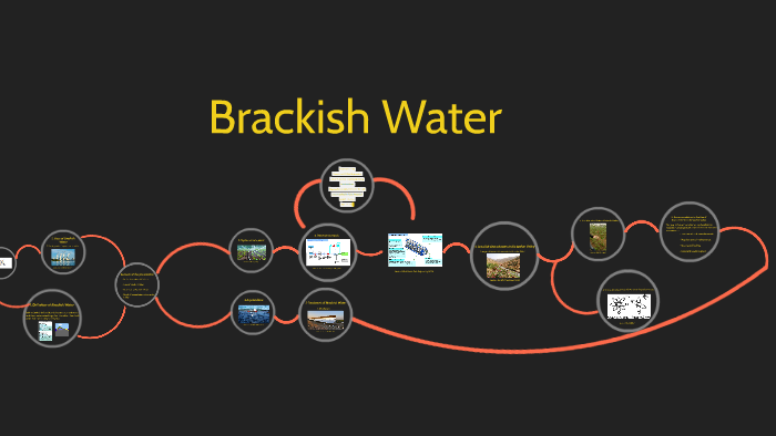 brackish-water-by-ahmad-suhail-on-prezi