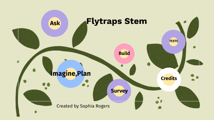Stem presentation-Sophia by Sophia R on Prezi