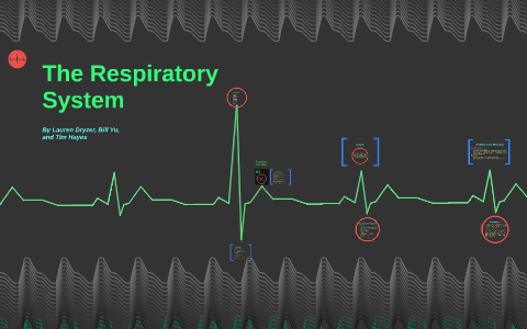 The Respiratory System by Lauren Dryzer on Prezi