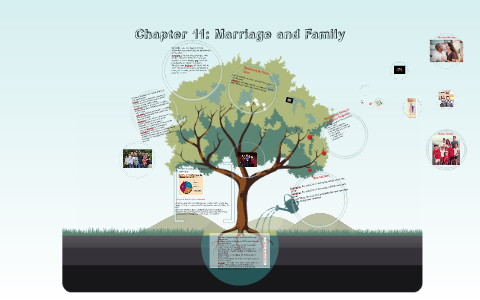 Chapter 11 Marriage and Family in Global Perspective by Megan McDowell ...