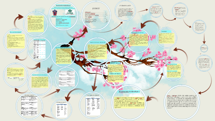 PLANEACION ESTRATEGICA by Araceli Valle on Prezi