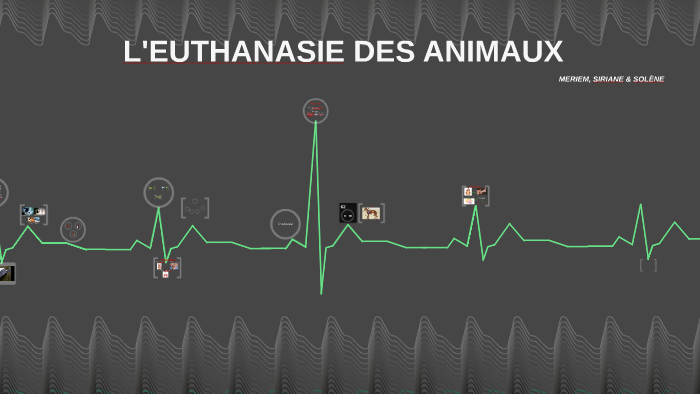 L 039 Euthanasie Des Animaux By Solene Crn