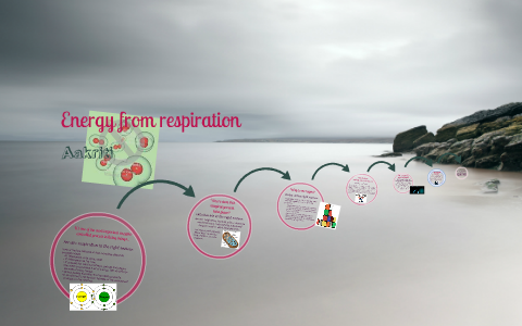 B2 4 Energy From Respiration By Aakriti Narang On Prezi