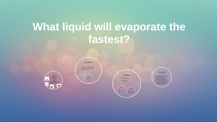 Which Liquid Evaporates The Fastest Science Project