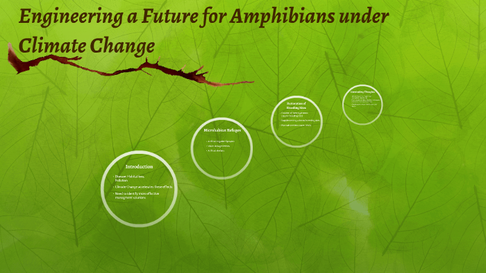 Engineering a Future for Amphibians Under Climate Change by Kyle Peters