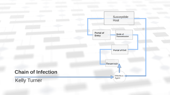 Chain of Infection by Kelly Turner on Prezi
