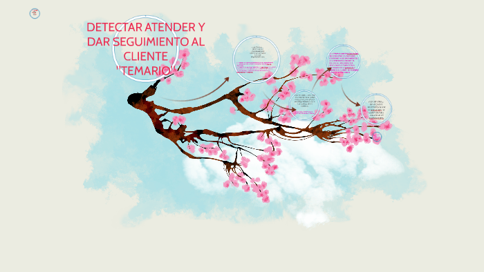 Detectar Atender Y Dar Seguimiento Al Cliente By Sara Yose Gutierrez Lopez 2753