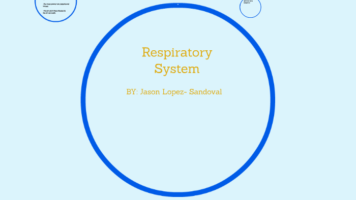 Respiratory System by jason lopez on Prezi
