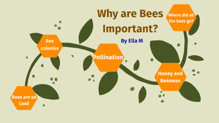 Why are Bees Important? by Ella Mosca on Prezi