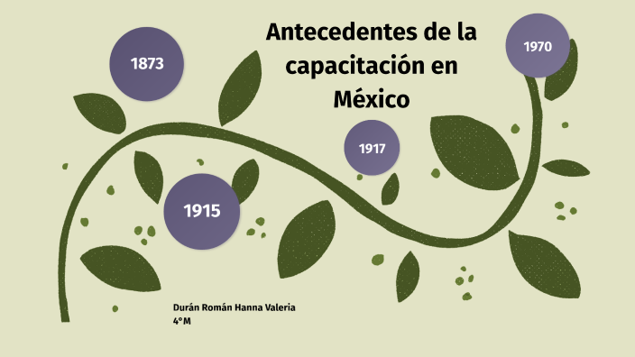 Antecedentes de la capacitación en México by Hanna Durán on Prezi