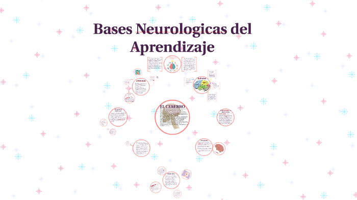 Bases Neurologicas Del Aprendizaje By Fernanda Peña On Prezi