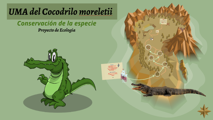 Cocodrilo moreletii by José Ancona on Prezi Next