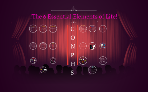 3 essential elements of life