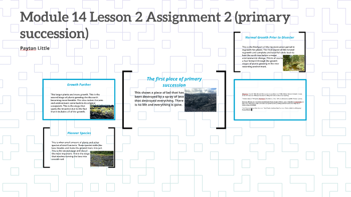 lesson 3 assignment 2 unit 14 service call 4