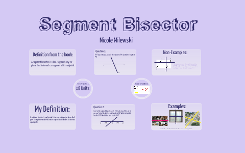 segment bisector definition