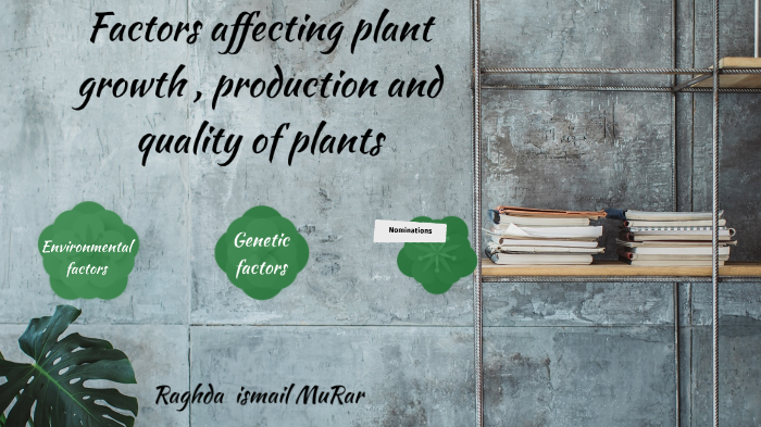 Factors affecting plant growth by Raghda murar on Prezi
