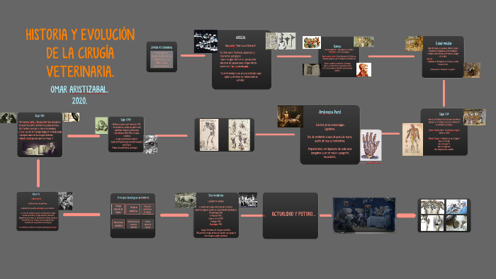 HISTORIA DE LA CIRUGÍA VETERINARIA. by omar aristizabal on Prezi
