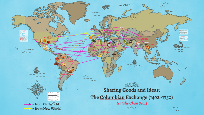 where-did-cows-originate-columbian-exchange-all-about-cow-photos