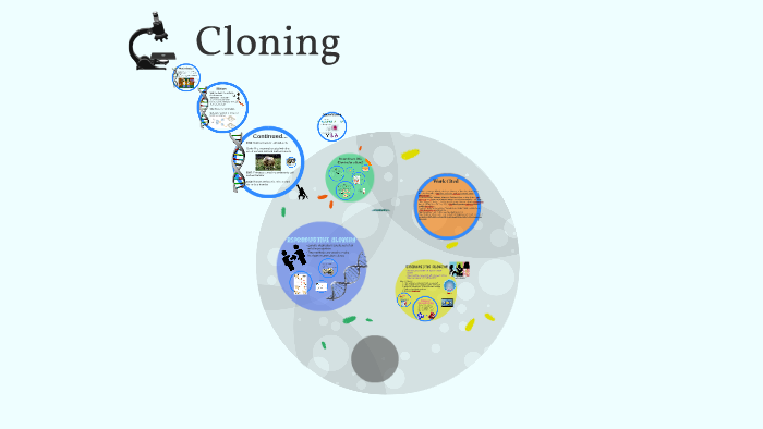History by on Prezi