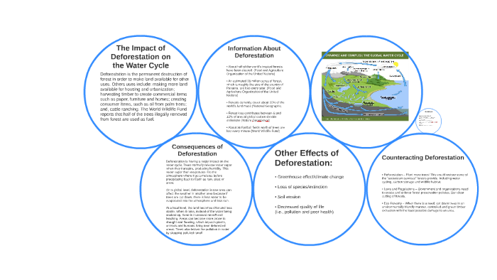 The Impact of Deforestation on the Water Cycle by alex rudawsky on Prezi