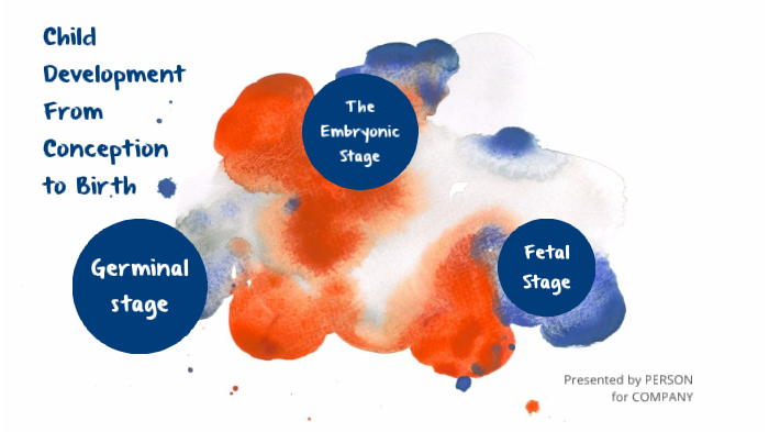 Development From Conception to Birth by Olivia Breville on Prezi