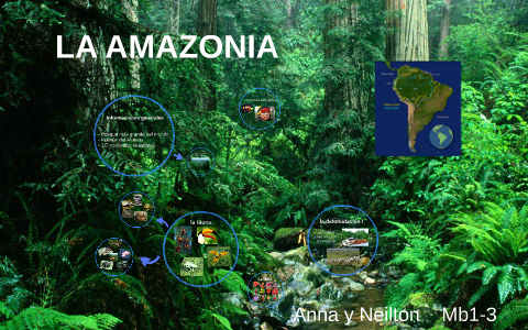 La Amazonía by Neilton Meewes on Prezi