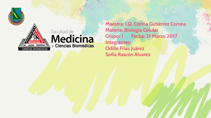 Regulación del ciclo celular parte II by sofia rascon on Prezi