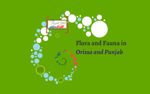 Flora and Fauna in Orissa and Punjab by Avi on Prezi