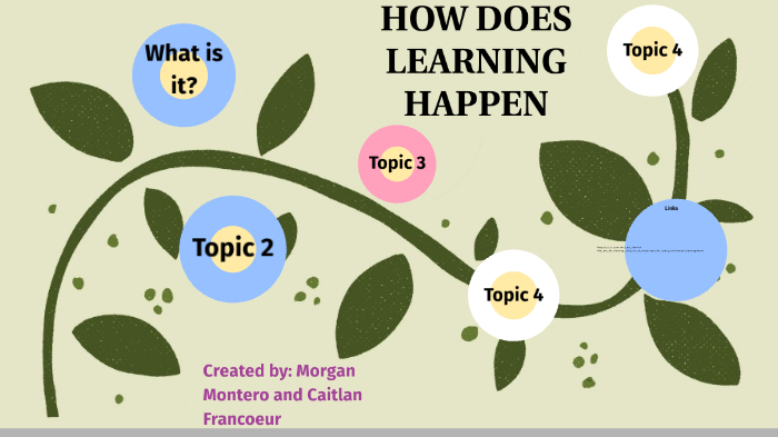 How Does Learning Happen-Morgan & Caitie by Morgan Montero on Prezi