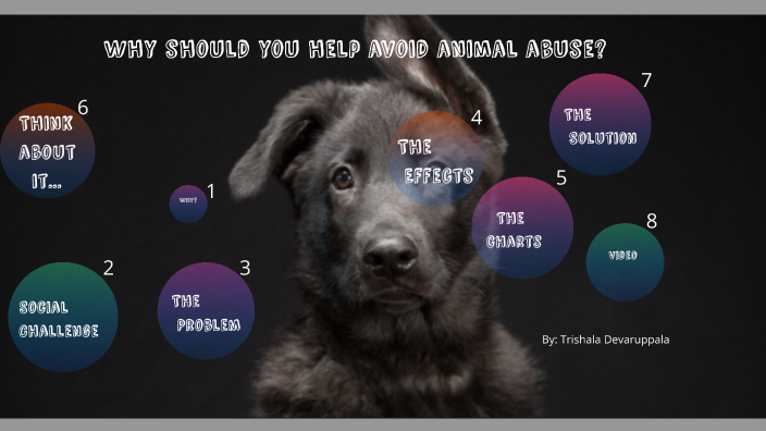 Animal abuse project by student Trishala Devaruppala Animal abuse project by student Trishala Devaruppala