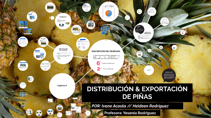 DISTRIBUCIÓN &EXPORTACIÓN DE PIÑAS by heideen rodriguez on Prezi