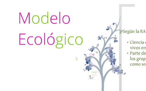 Modelo Ecológico by Katherina Palma