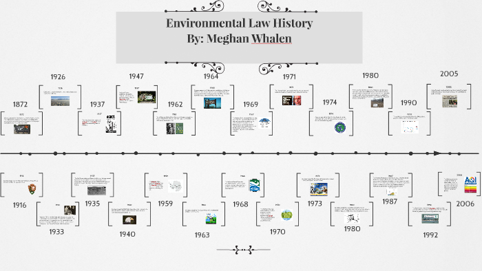 environmental-law-timeline-by-meg-whalen