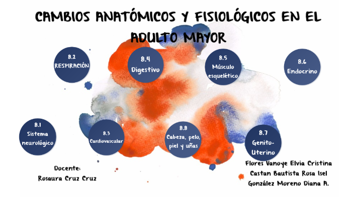 7 Cambios Fisiológicos Y Anatómicos De La Mujer En El Embarazo