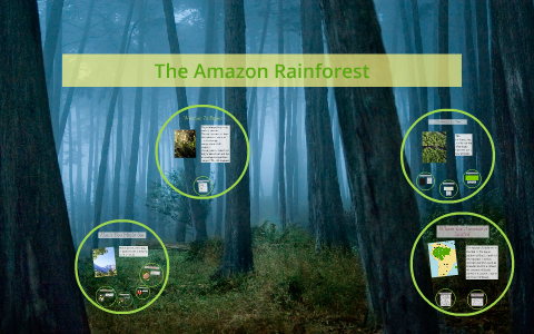 The Amazon Rainforest by on Prezi